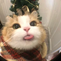 Tác Giả: iu bankk nhìu