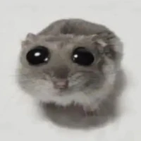 hai nha