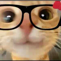 đa nhân vật (nhiều vcl)