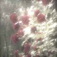 Tgia (simp lỏ Twotime🥰)