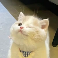 Kẹo