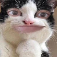 tác giả dễ thương🤩