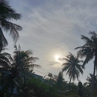 Tác giả