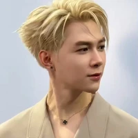 Bùi Anh Tú