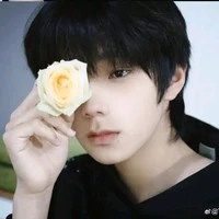 Vương Lỗ Kiệt
