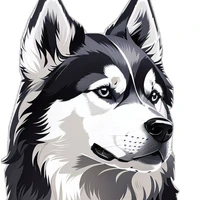 Ngáo