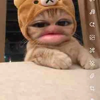 Như