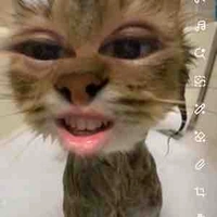Tùng