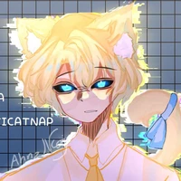 Hiha anti catnap
