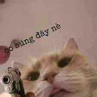 Con mèo vui vẻ(t/g)