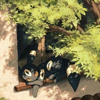 [ Tất cả NV Nam ]