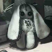 Teddy