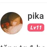 Pika Fan Ruột - T/G Poruu