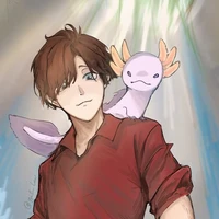 《Dương record》