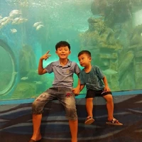 bảo