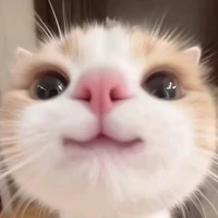 hệ thống đẹp zai nhất