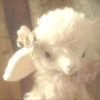 ✩ 🍼ᴴᵀS5Q2-𝑂𝑝𝑝𝑦⊹♡🍰