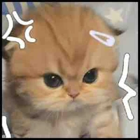 all mn(trừ ai thì trừ)