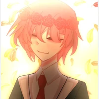 TT Hiha