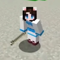 mèo simmy