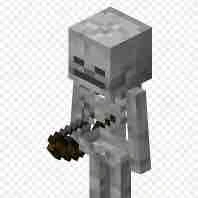 Skelly(18t)