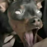 con mẹ nào đó:] (tg)