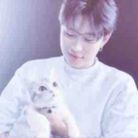 Trần Đăng Dương