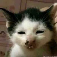 Độc giả bị r
