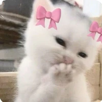 nhỏ tác giả nìi