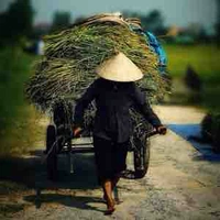bà Liên-mẹ Han
