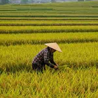 nhân vật phụ