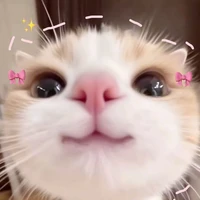 Tác giả nà