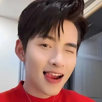 Huỳnh Hoàng Hùng_Gemini