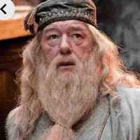 Albus Dumbledore 