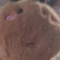 bác sĩ