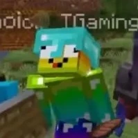 T gaming