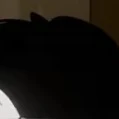 ？？？