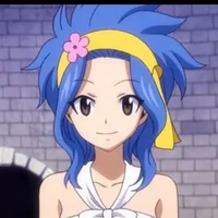 levy