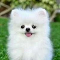 Tả Tịnh Viện ( Thú Nhân )