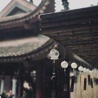 T/gi hay chửi tục><