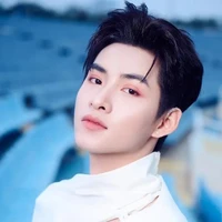 Huỳnh Hoàng Hùng–Gemini