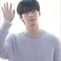 Cha Eun Woo