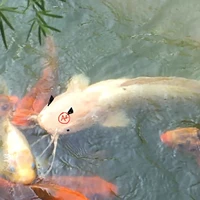 người bán hàng