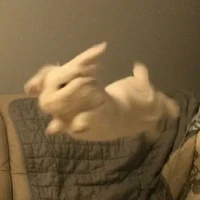 1bụm quỷ-.-(-trừ ai thì trừ)