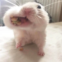 t/g bị khùng nè 🤷‍♀️