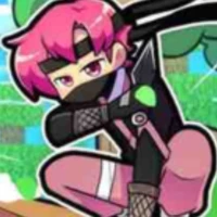 hiha_Ninja