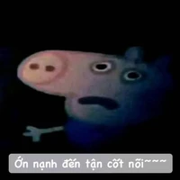 T/g khổ nhất thế giới