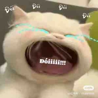 Tg đayyyy(◍•ᴗ•◍)