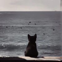 ？？？