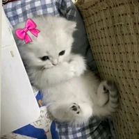 All